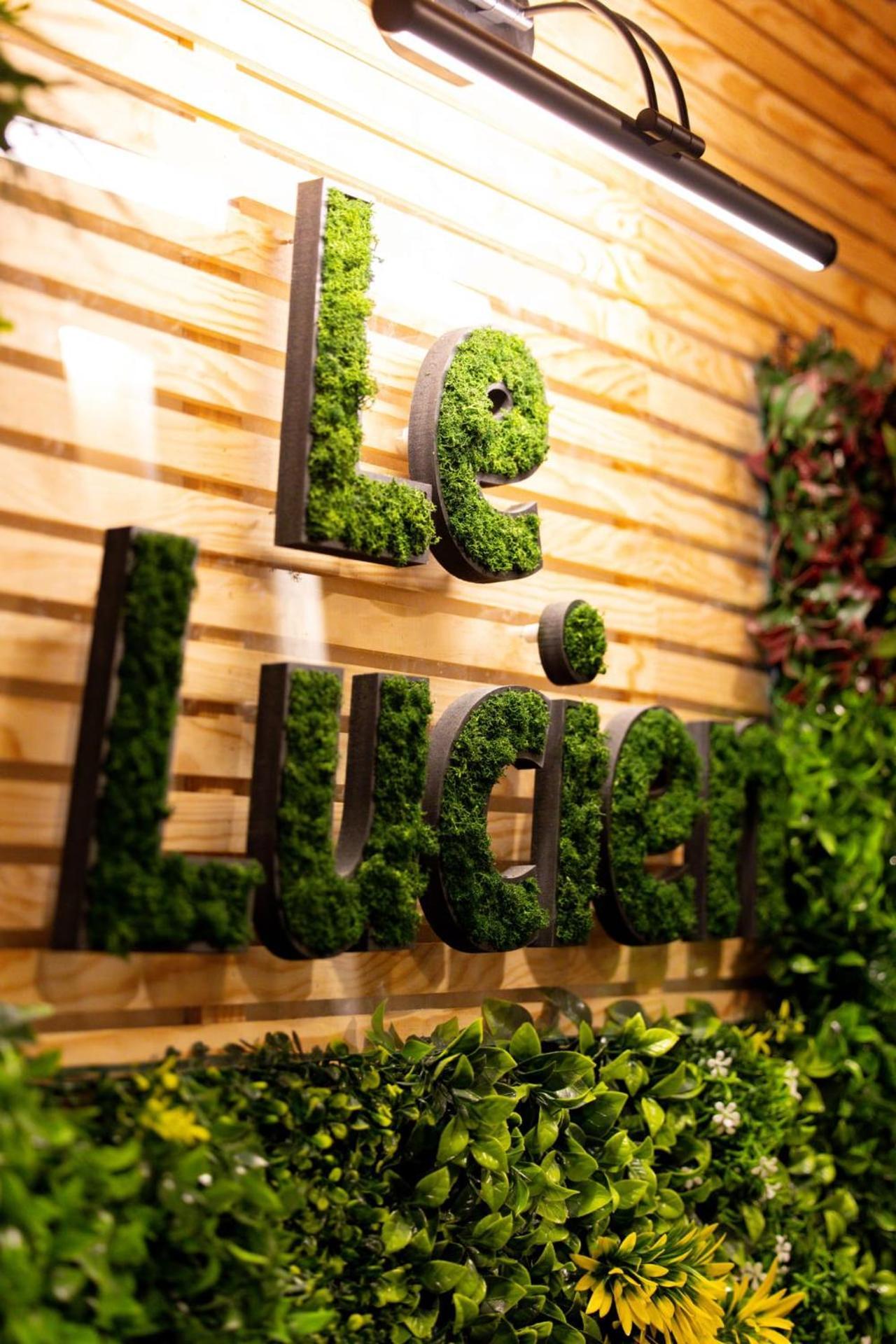 Le Lucien Eco-Appart'Hotel - Angouleme - Centre - Wifi - Parking Prive - Classe 4 Etoiles Exterior foto